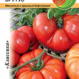 Томат (Помидор) обыкновенный Брутус F1