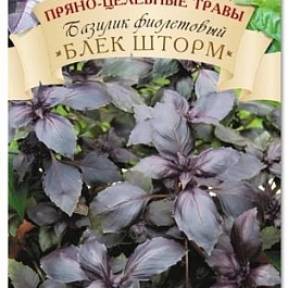 Базилик  Блек Шторм