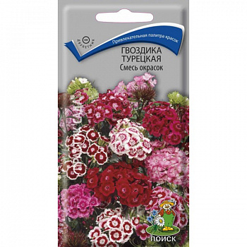 Гвоздика турецкая Смесь окрасок