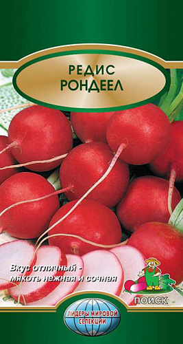 Редис Рондеел