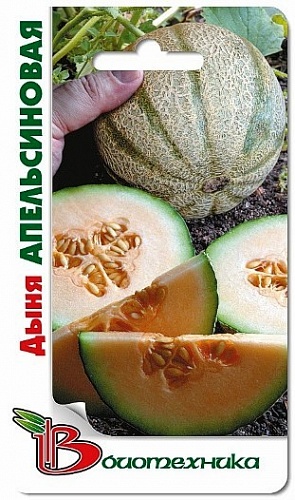 Дыня  Апельсиновая