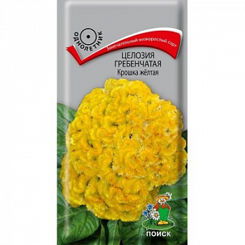 Целозия гребенчатая Крошка желтая
