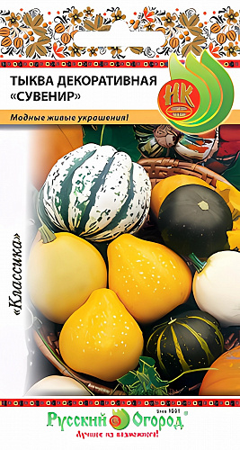 Тыква Декоративная Сувенир (смесь)