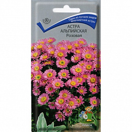 Астра альпийская Розовая
