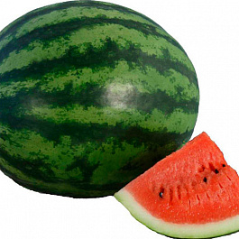 Арбуз АУ Продюсер ПВП