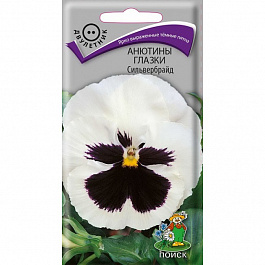 Анютины глазки Сильвербрайд