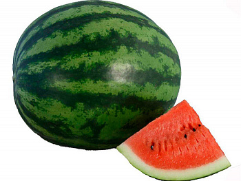 Арбуз АУ Продюсер ПВП