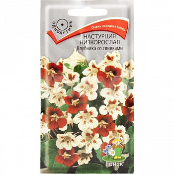 Настурция низкорослая Клубника со сливками