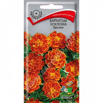 Бархатцы Хохлома Красные