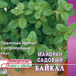 Майоран садовый Байкал (А)