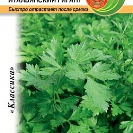 Петрушка листовая Итальянский гигант