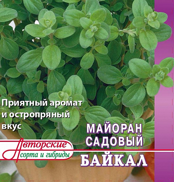Майоран садовый Байкал (А)