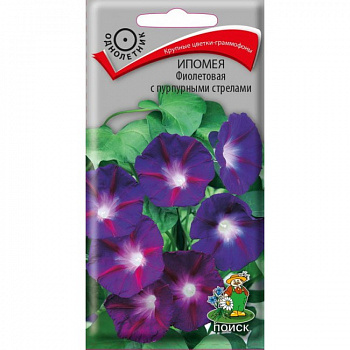 Ипомея Фиолетовая с пурпурными стрелами