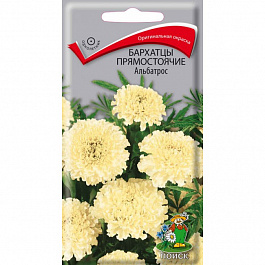 Бархатцы прямостоячие Альбатрос