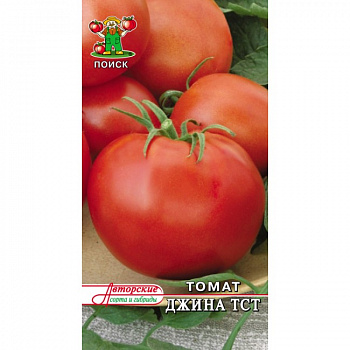 Томат Джина ТСТ