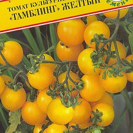 Томат (Помидор) обыкновенный Тамблинг желтый
