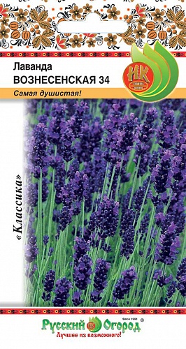 Лаванда  Вознесенская 34