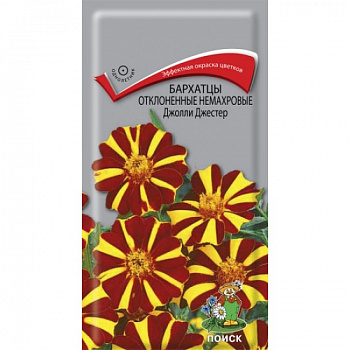 Бархатцы отклоненные немахровые Джолли Джестер