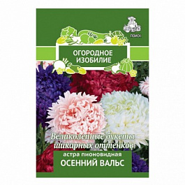 Астра пионовидная Осенний Вальс