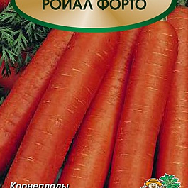 Морковь Ройал Форто