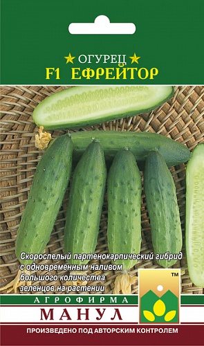 Огурец партенокарпический Ефрейтор F1
