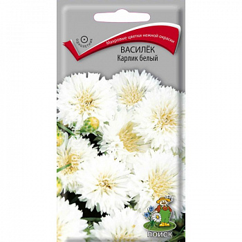 Василёк Карлик белый