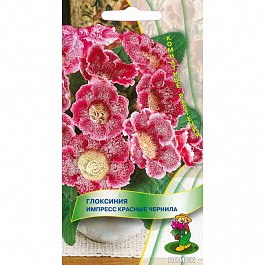 Глоксиния Импресс Красные чернила