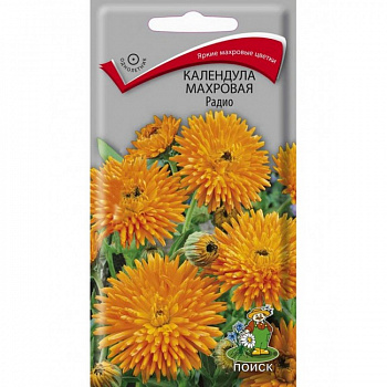 Календула махровая Радио