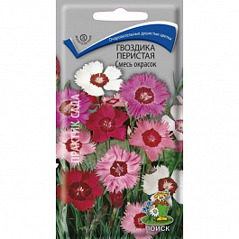 Гвоздика перистая Смесь окрасок