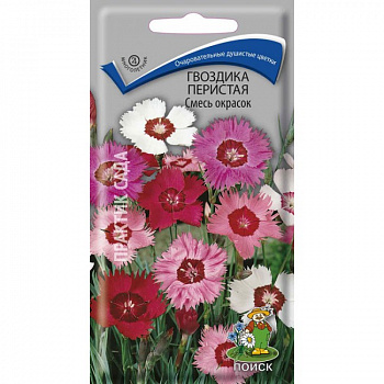 Гвоздика перистая Смесь окрасок