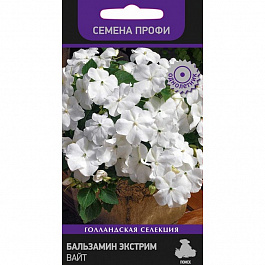 Бальзамин Экстрим Вайт