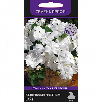 Бальзамин Экстрим Вайт