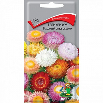 Гелихризум Махровый смесь окрасок