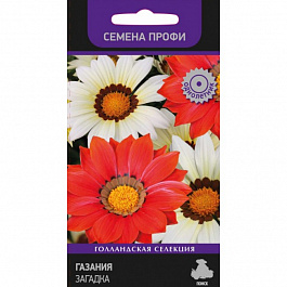 Газания Загадка Газания Загадка