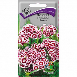 Гвоздика Турецкая Княжна