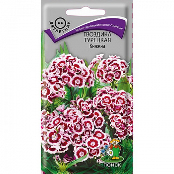 Гвоздика Турецкая Княжна