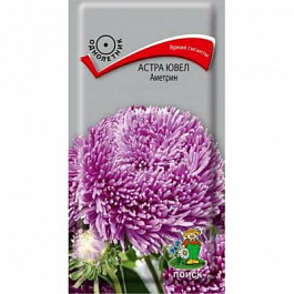 Астра Ювел Аметрин