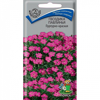 Гвоздика Павлинья Пурпурно-красная Гвоздика Павлинья Пурпурно-красная