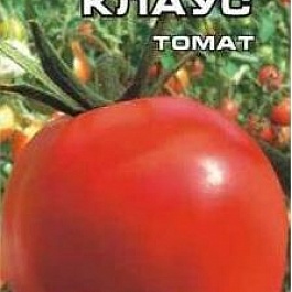 Томат (Помидор) обыкновенный Санта-Клаус