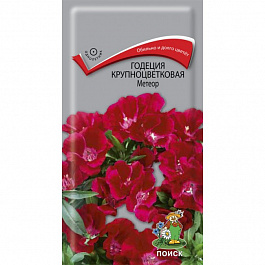 Годеция крупноцветковая Метеор