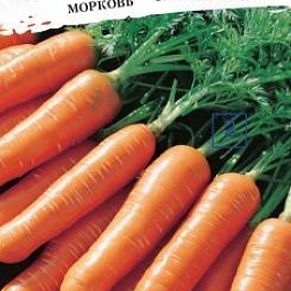 Морковь  Миникор