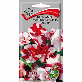 Бальзамин махровый Афина Афродита
