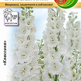 Дельфиниум (живокость) культурный Хрустальный фонтан