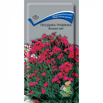 Гвоздика травянка Флэшинг Лайт