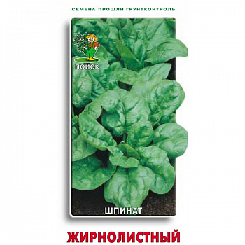 Шпинат Жирнолистный