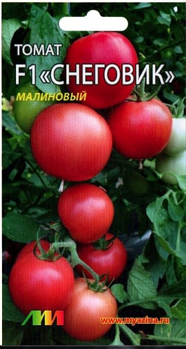 Томат (Помидор) обыкновенный Снеговик малиновый