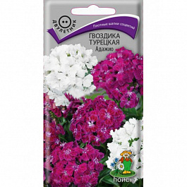Гвоздика Турецкая Адажио