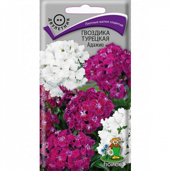 Гвоздика Турецкая Адажио