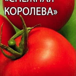 Томат (Помидор) обыкновенный Снежная королева