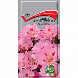 Годеция крупноцветковая Майден Блаш